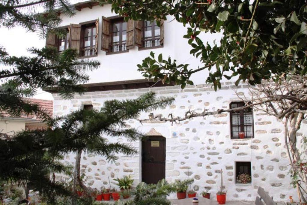Hotel Αrchontiko Tis Marios Portariá Esterno foto