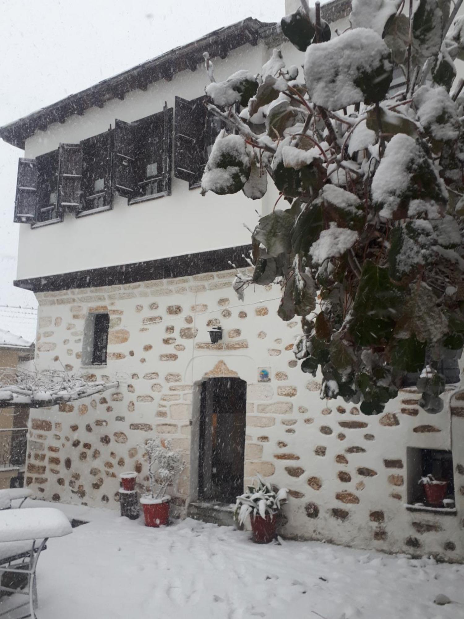 Hotel Αrchontiko Tis Marios Portariá Esterno foto